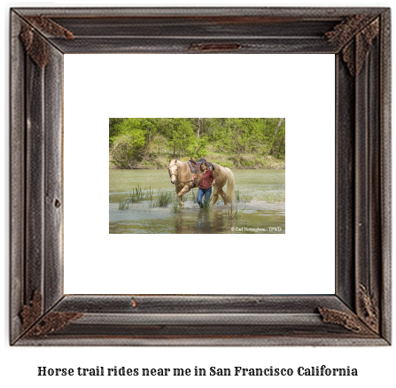 horse trail rides near me in San Francisco, California